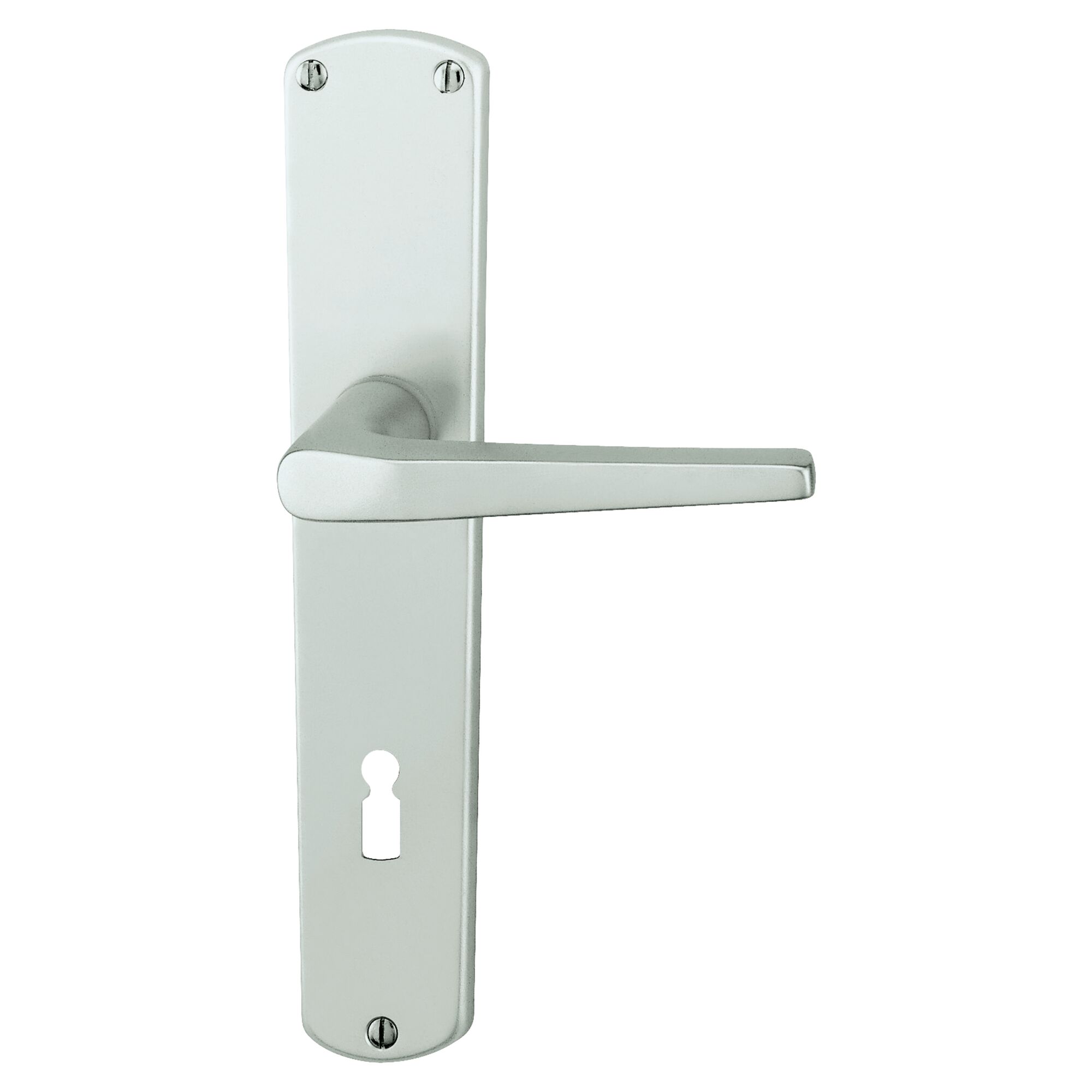 Türklinke aus Aluminium mit Langschild und Schlüsselloch.