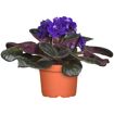 hauptbild