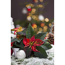 Verkleinertes Bild von Fairtrade Weihnachtsstern rot mit weißen Sprenkeln 13 cm Topf