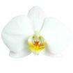 hauptbild