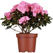 hauptbild