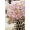 Rosa Amaryllisblüten in einer geflochtenen Vase