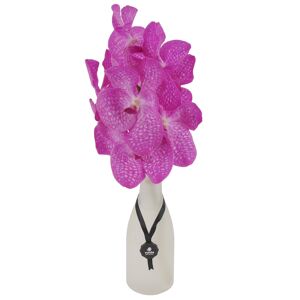 Vanda-Orchidee pink 1 Rispe im weißen Glasflakon