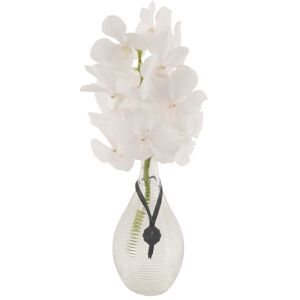 Vanda-Orchidee weiß 1 Rispe im Glasflakon
