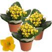 hauptbild