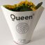 Gelbe Kalanchoe Queen im Topf