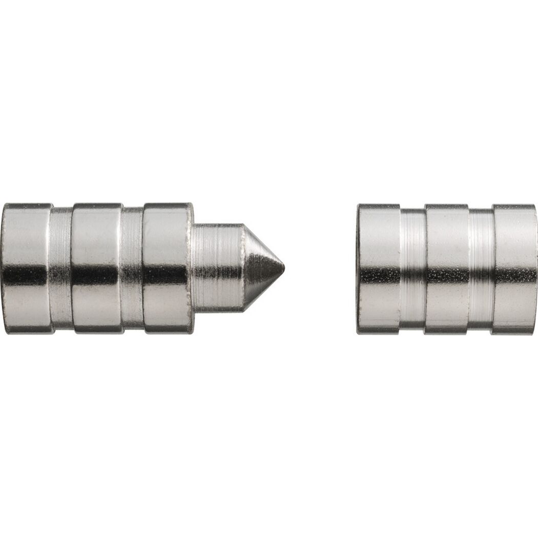 Scharnierseitensicherung 'TAS82' Ø 14 mm 2 Stück