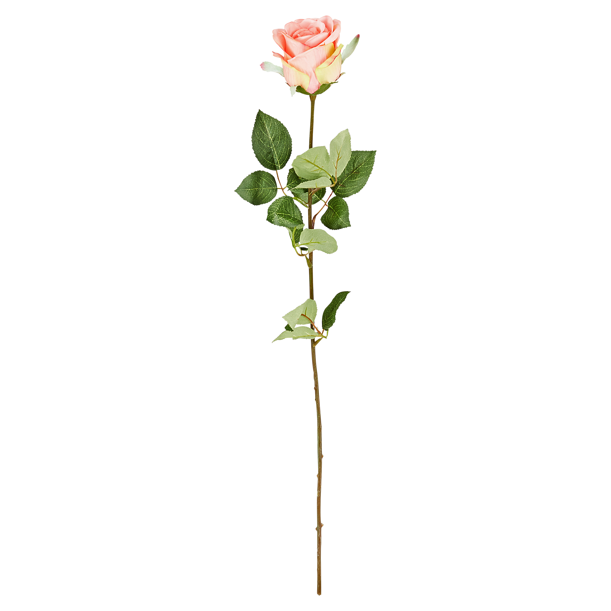 Rose rosa gestielt 67 cm + product picture