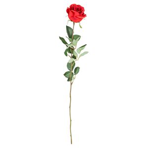 Rose rot gestielt 67 cm
