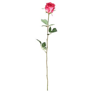 Rose bordeaux gestielt 67 cm