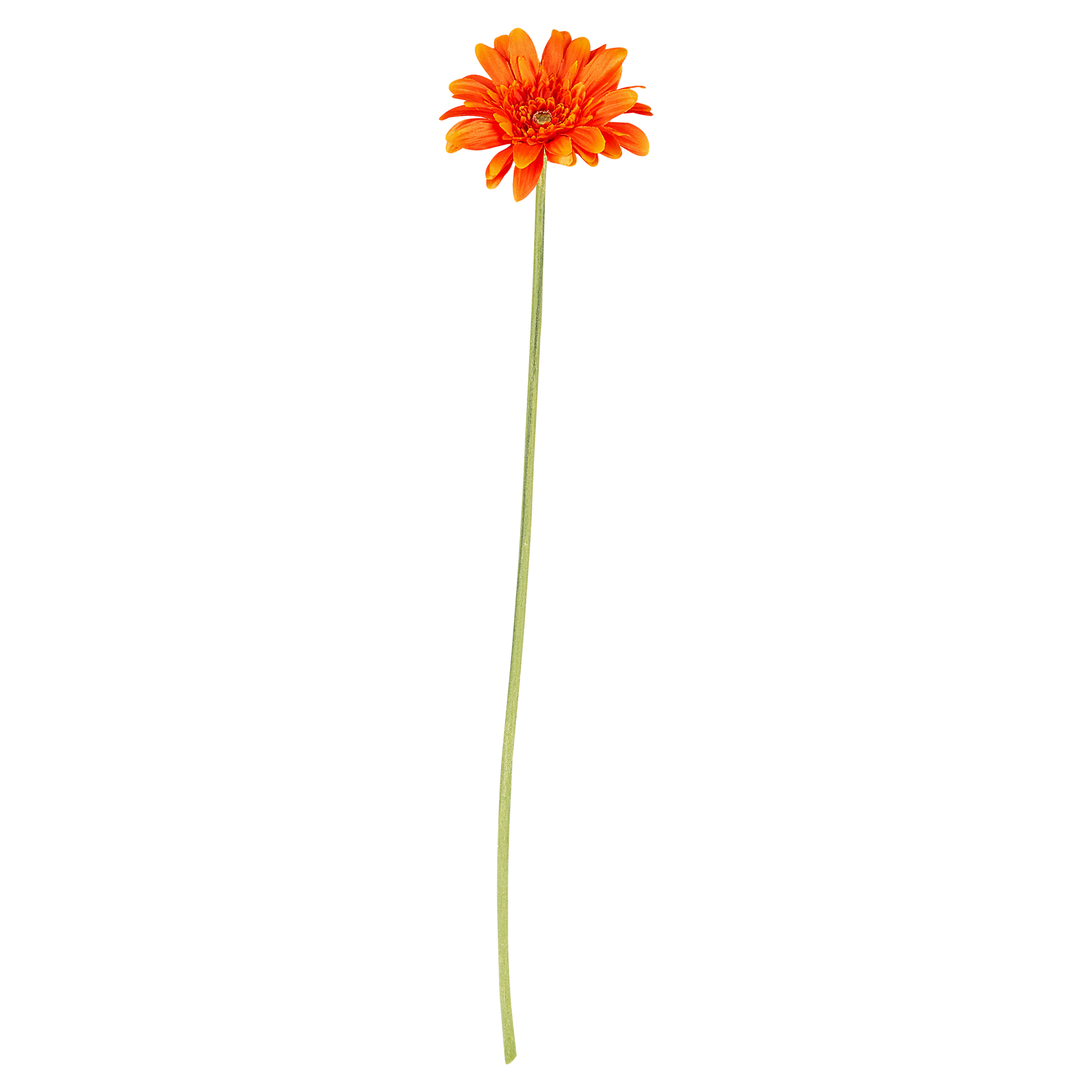 Gerbera gestielt 55 cm orange + product picture