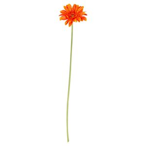 Gerbera gestielt 55 cm orange