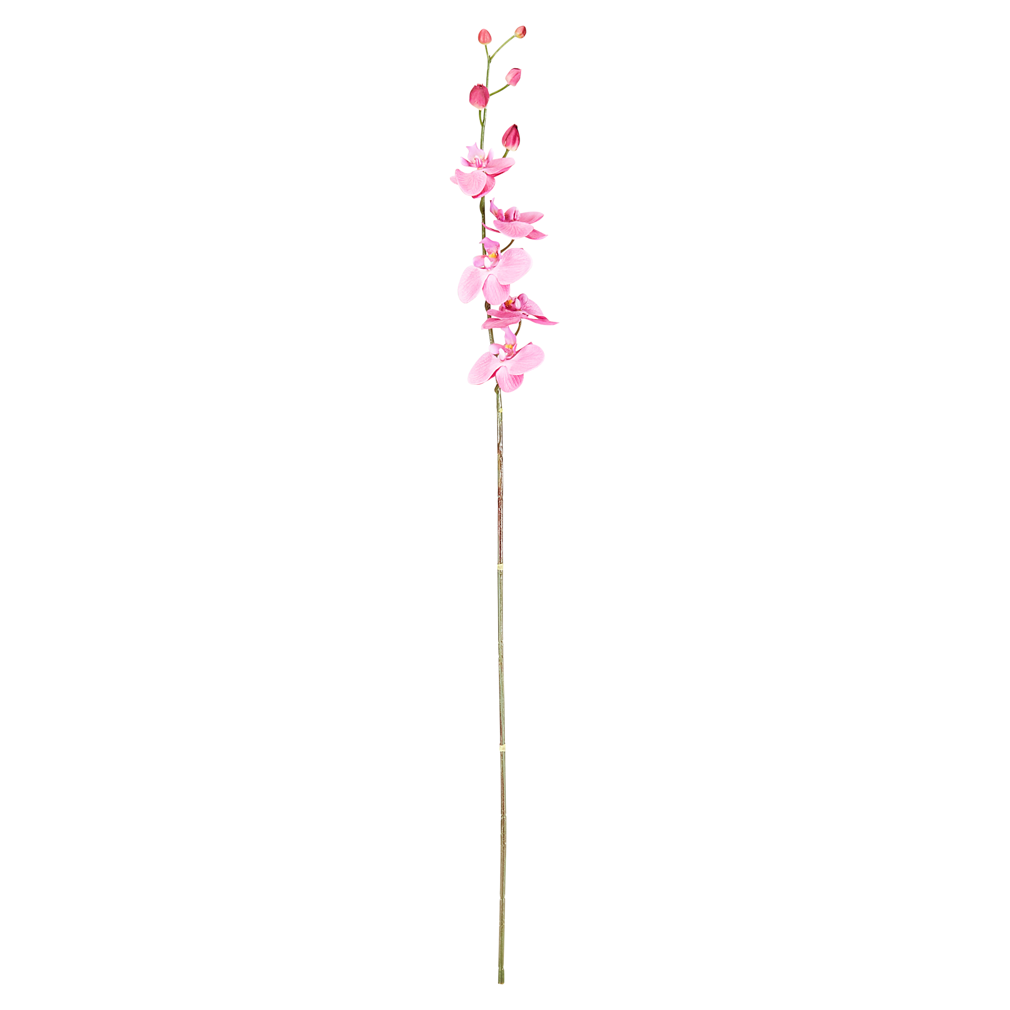 Orchidee gestielt cyclam 92 cm + product picture