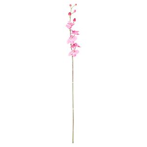 Orchidee gestielt cyclam 92 cm