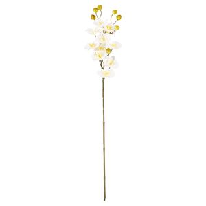 Orchidee gestielt 56 cm weiß-gelb