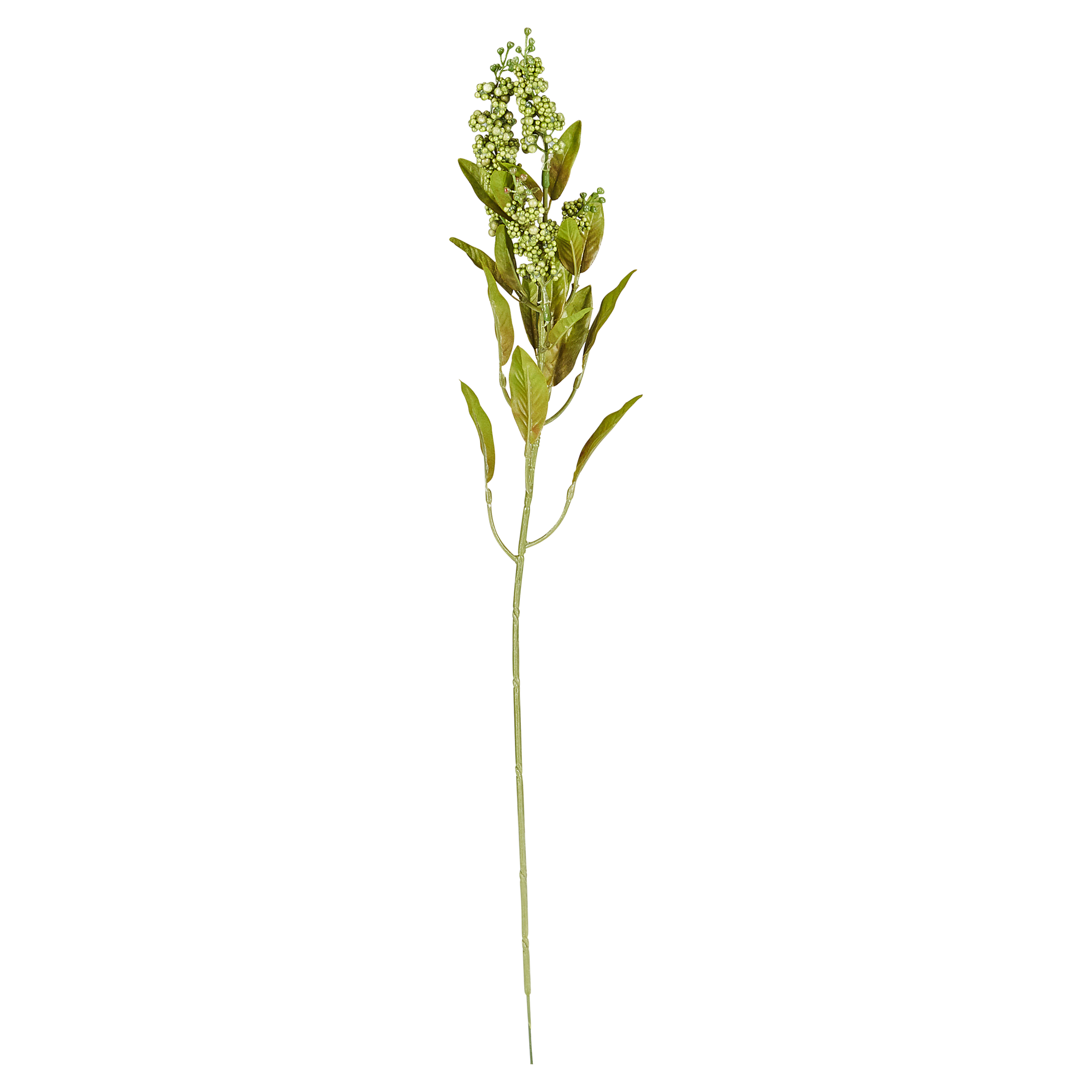 Beerenzweig Aloe vera gestielt 59 cm + product picture