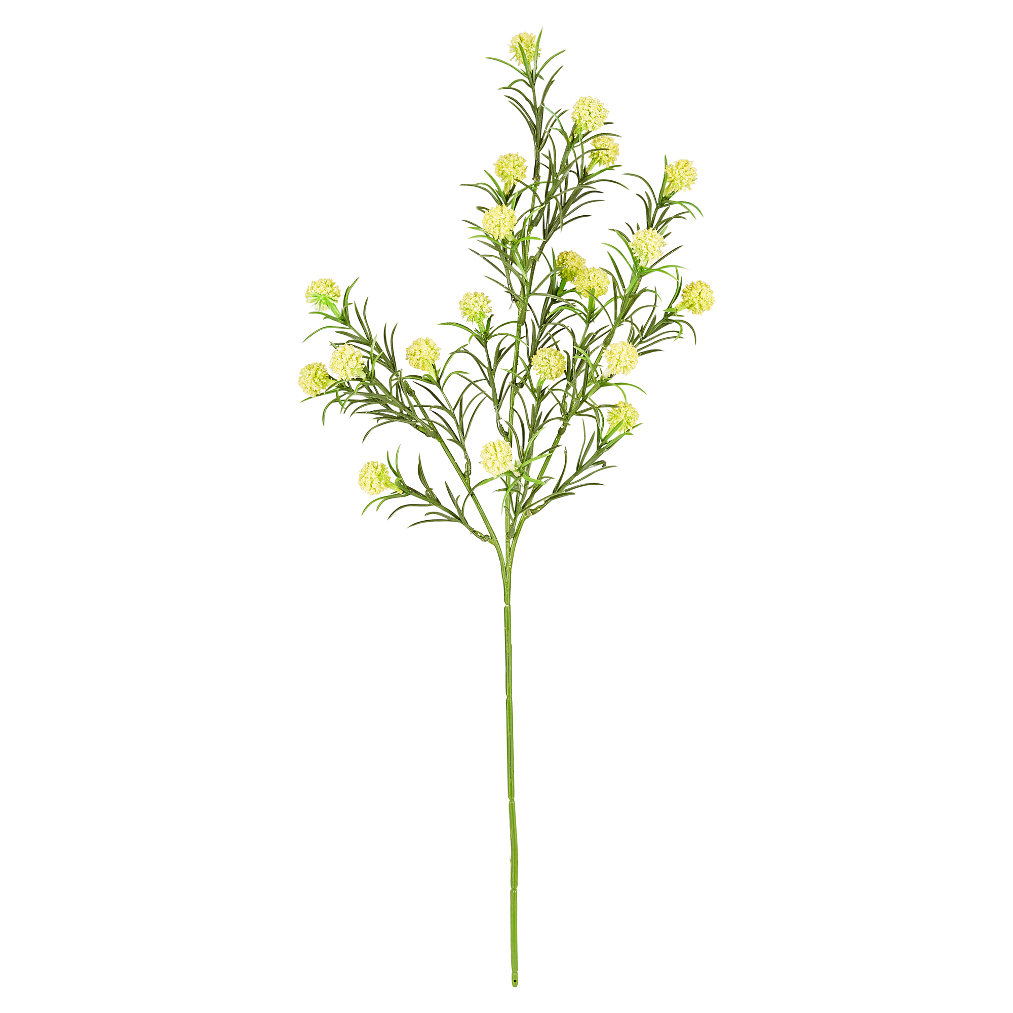 Tanacetum gestielt 58 cm gelb + product picture