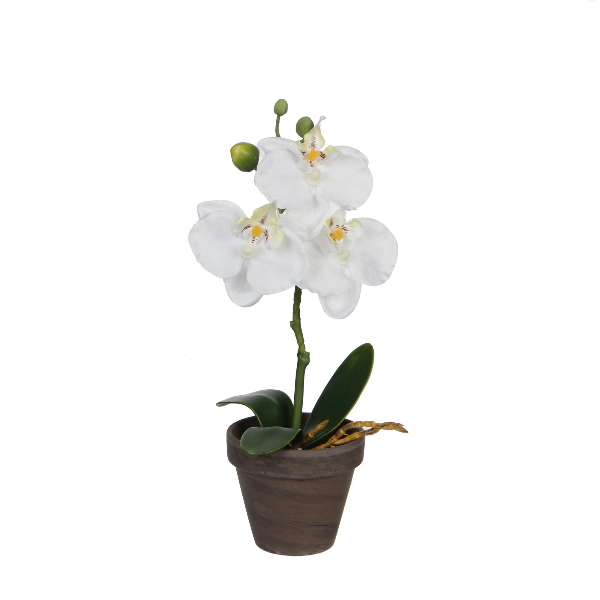 Kunstpflanze Phalaenopsis im Topf, weiß 12 x 26 cm + product picture