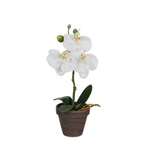 Kunstpflanze Phalaenopsis im Topf, weiß 12 x 26 cm