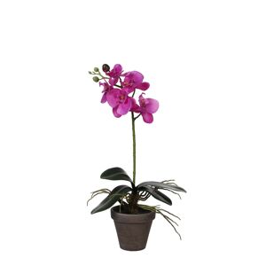 Kunstpflanze Phalaenopsis im Topf, violett 13 x 48 cm