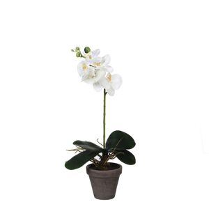 Kunstpflanze Phalaenopsis im Topf, weiß 13 x 48 cm