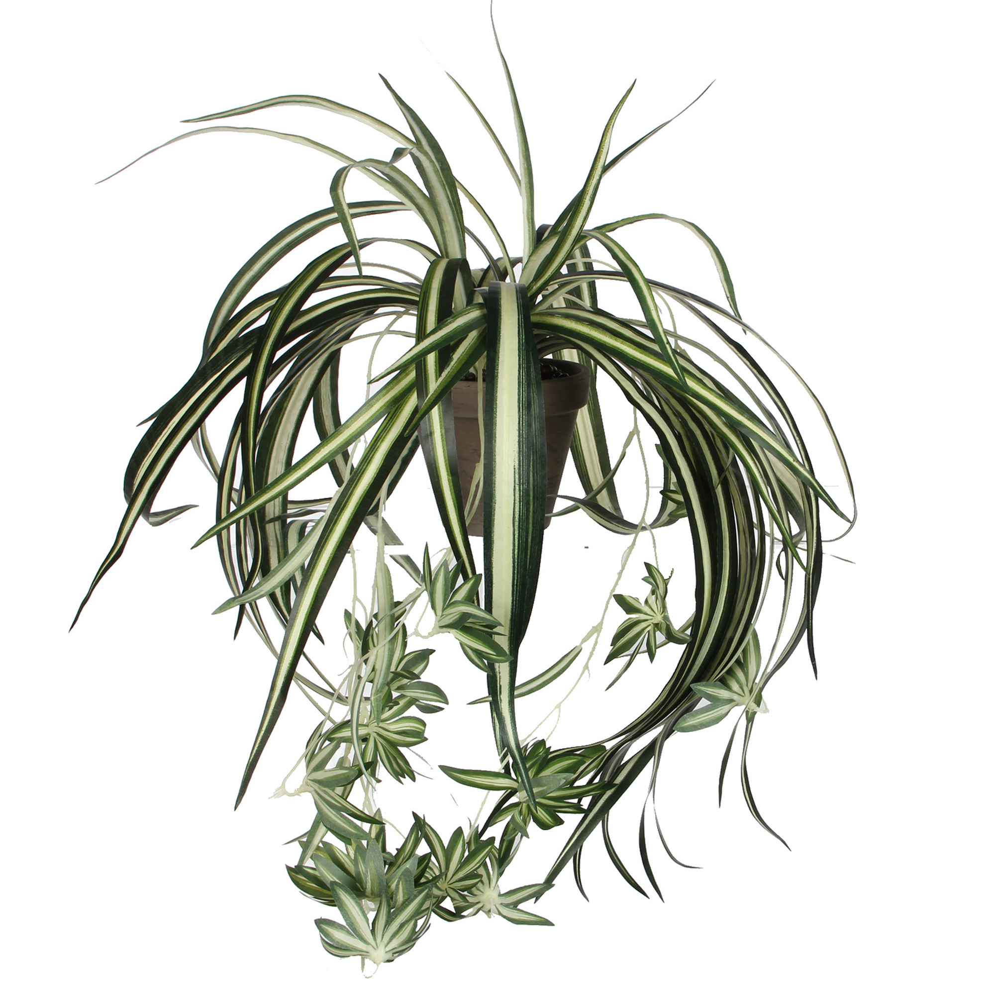 Kunstpflanze 'Chlorophytum' im Topf Ø 45 x 30 cm + product picture