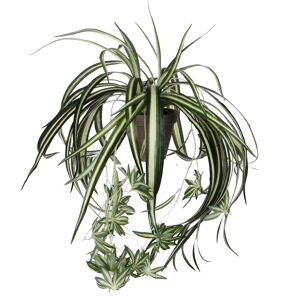 Kunstpflanze 'Chlorophytum' im Topf Ø 45 x 30 cm