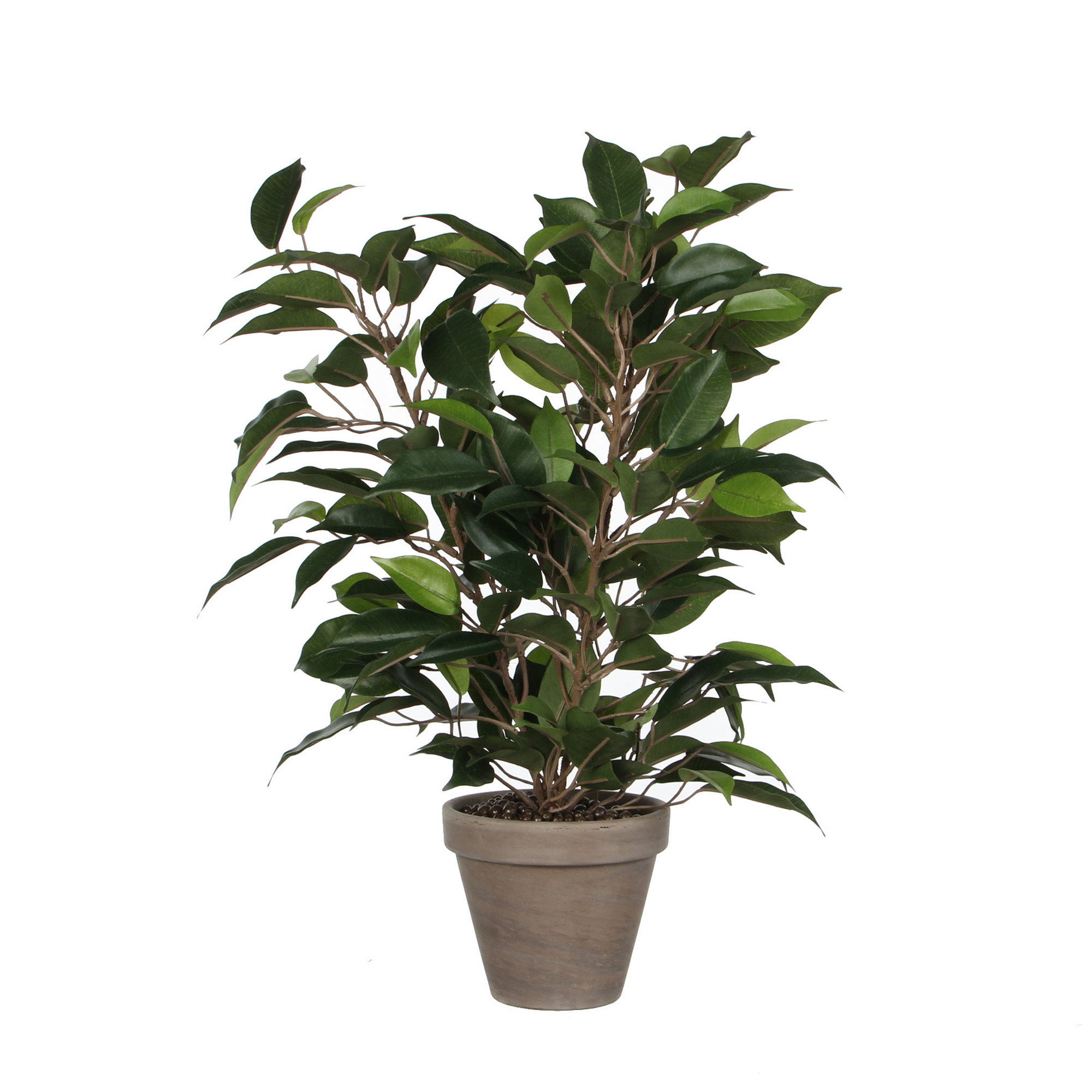 Kunstpflanze Ficus Natasja im Topf, grün 30 x 40 cm + product picture