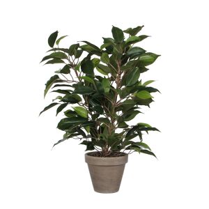Kunstpflanze Ficus Natasja im Topf, grün 30 x 40 cm