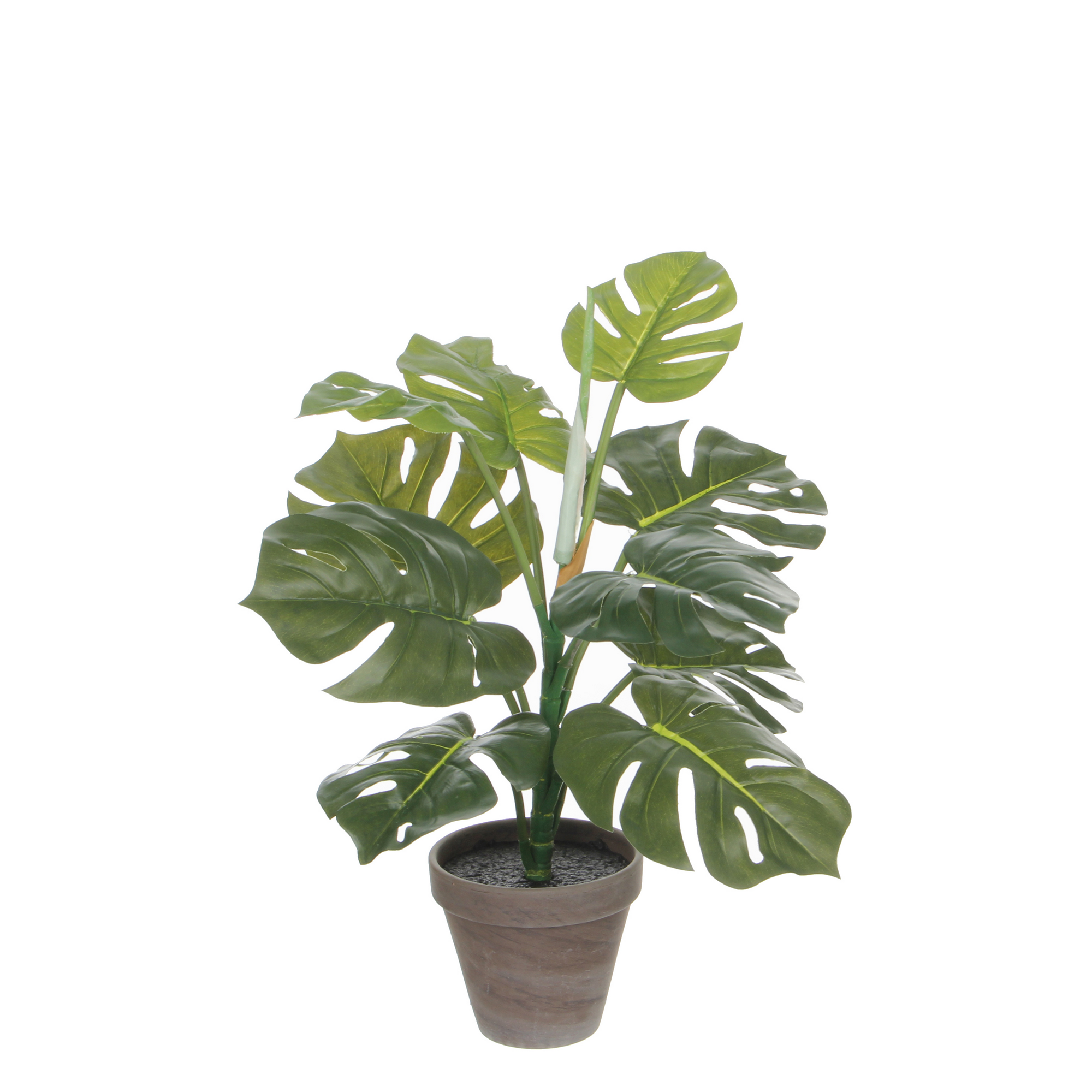 Kunstpflanze Monstera im Topf 39 x 48 cm + product picture