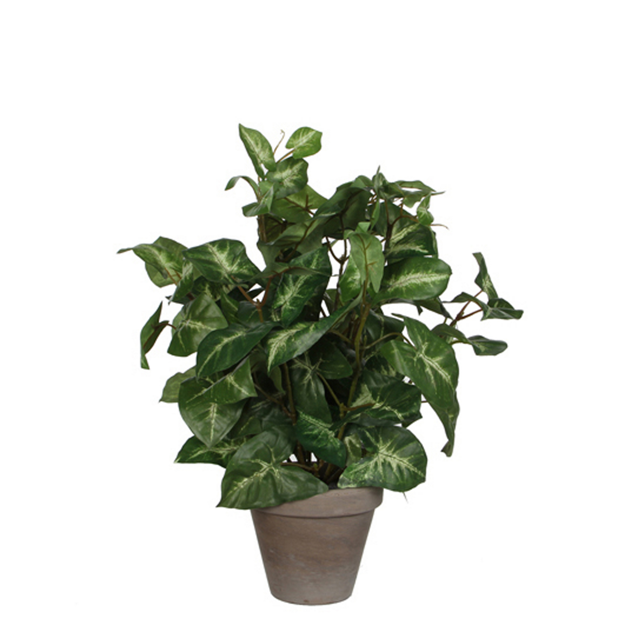 Kunstpflanze Syngonium im Topf 25 x 35 cm + product picture