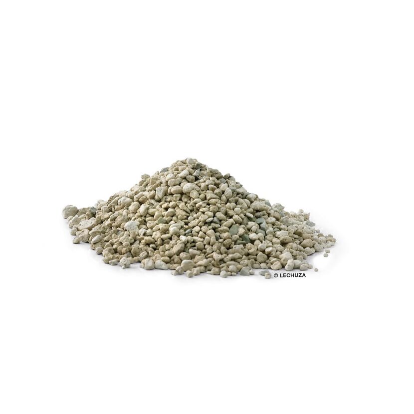 LECHUZA PON