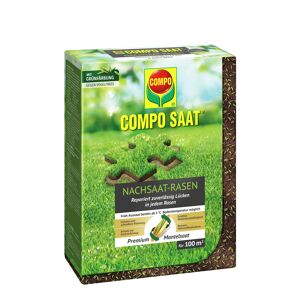 Nachsaat-Rasen 'Compo Saat' 2 kg für 100 m²