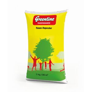 Rasen-Reparatur-Mischung 1 kg