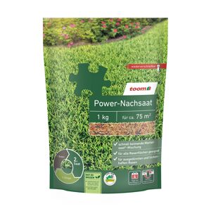 Rasennachsaat 'Power' 1 kg für ca. 75 m²