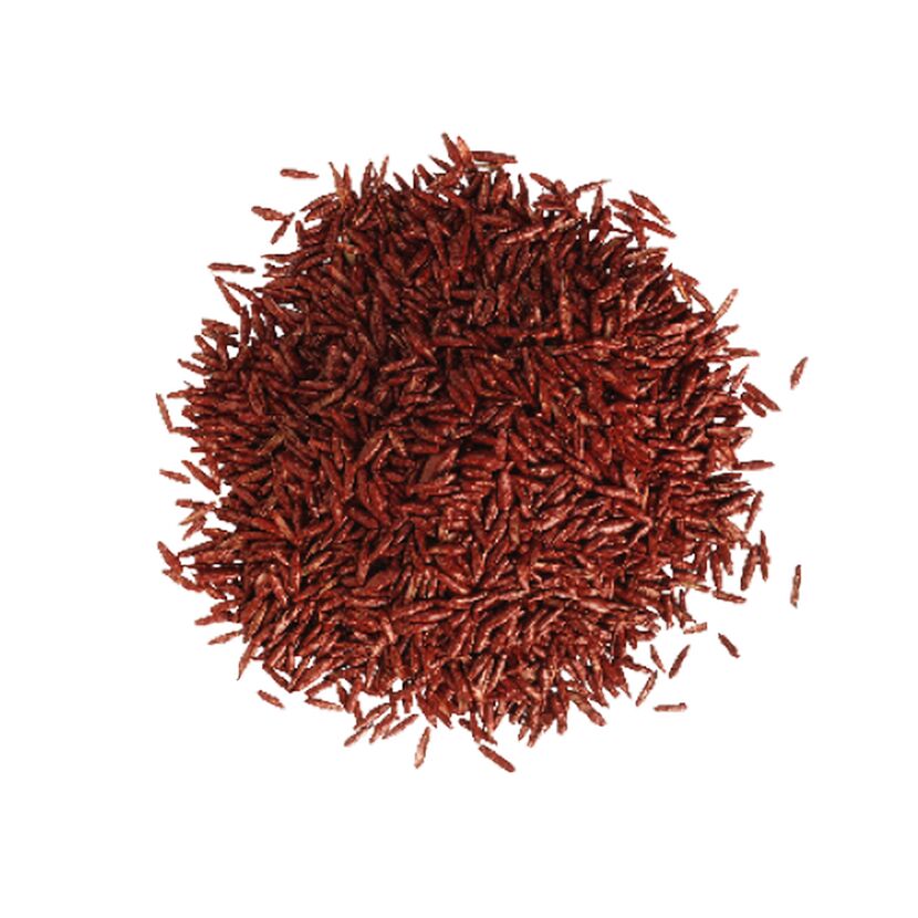 Haufen rote Chilischoten