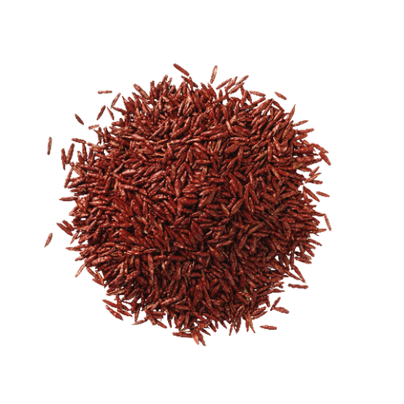 Haufen rote Chilischoten