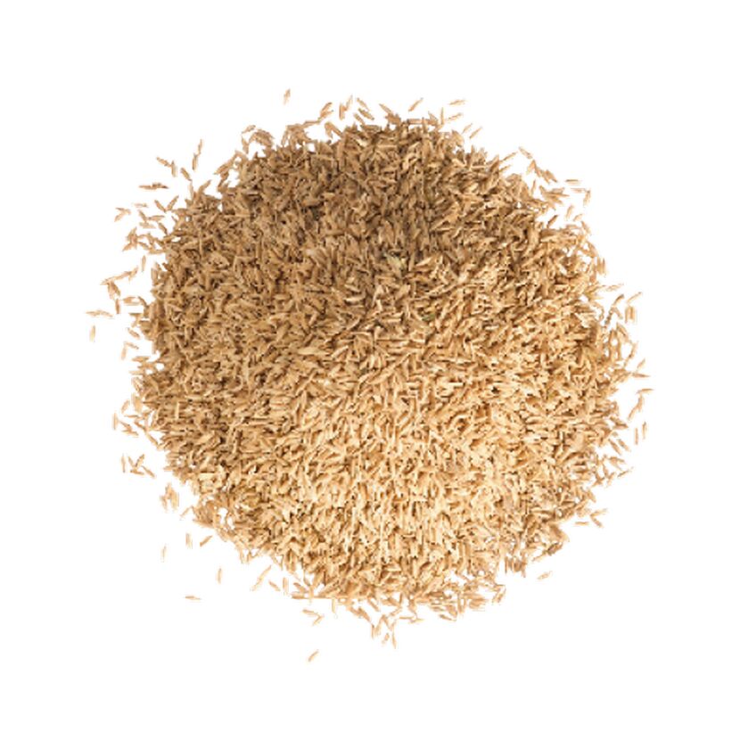 Haufen von Grassamen
