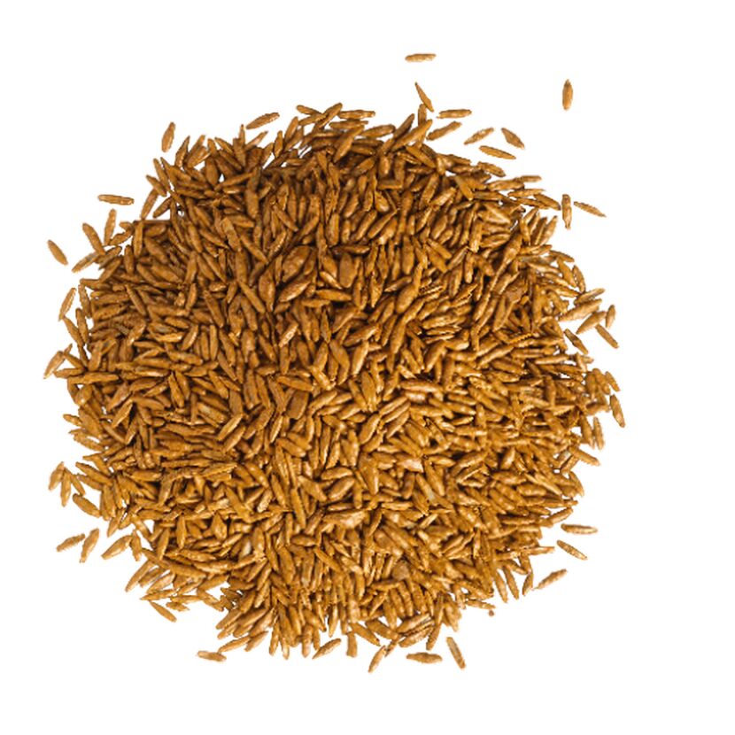 Haufen Grassamen