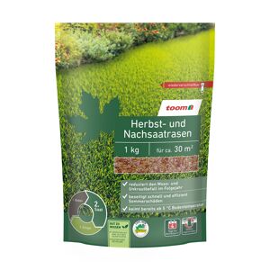 Herbst- und Nachsaatrasen 1 kg für ca. 30 m²