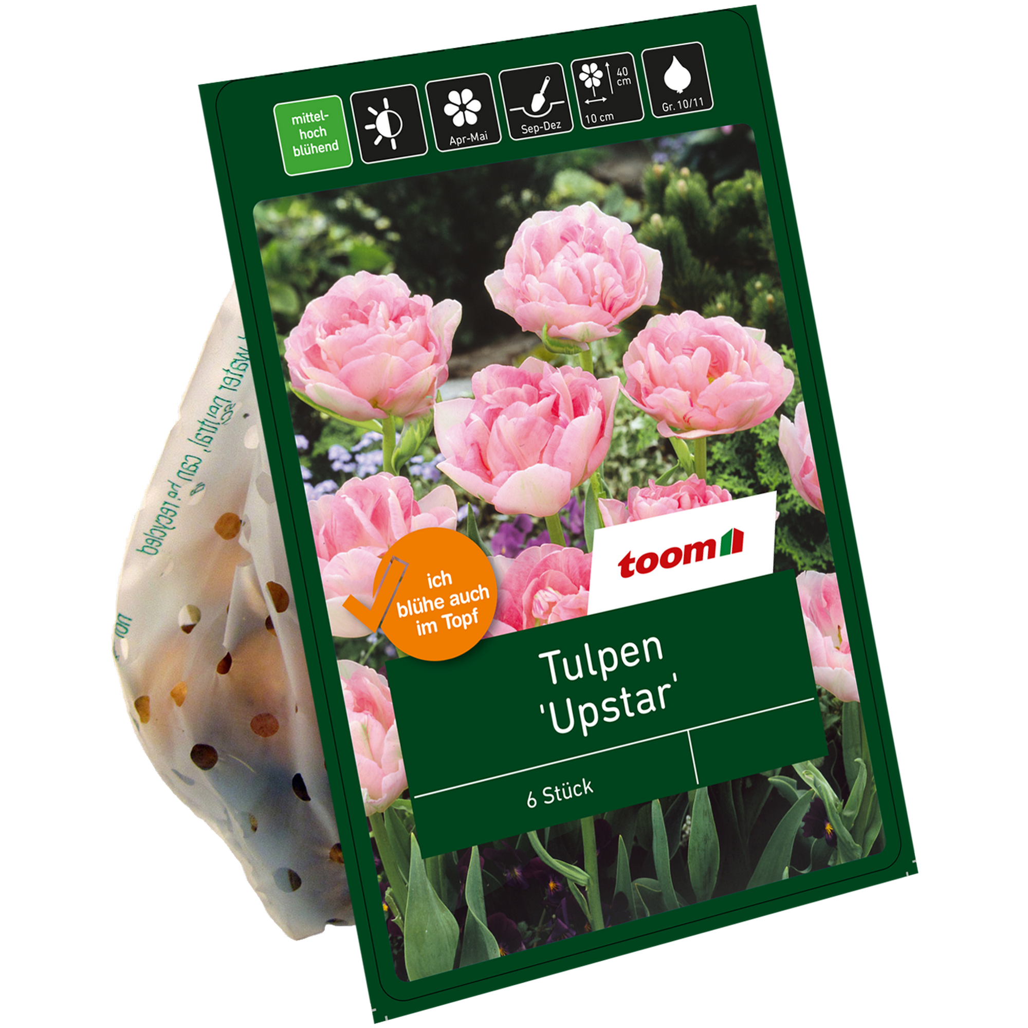 Gefüllte Tulpen rosa 6 Zwiebeln
