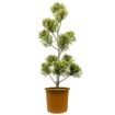 hauptbild