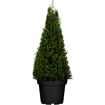 hauptbild