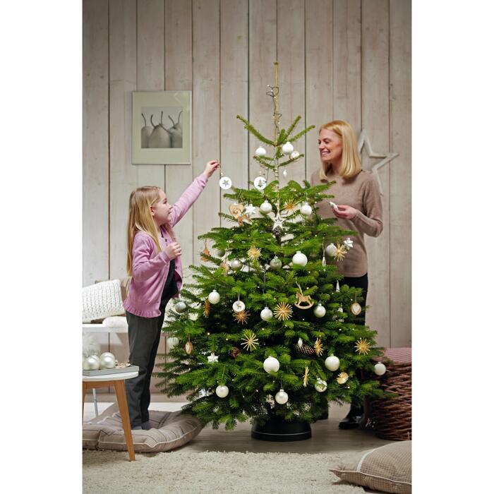 toom Fair Trees® Weihnachtsbaum Nordmanntanne gesägt 130150 cm