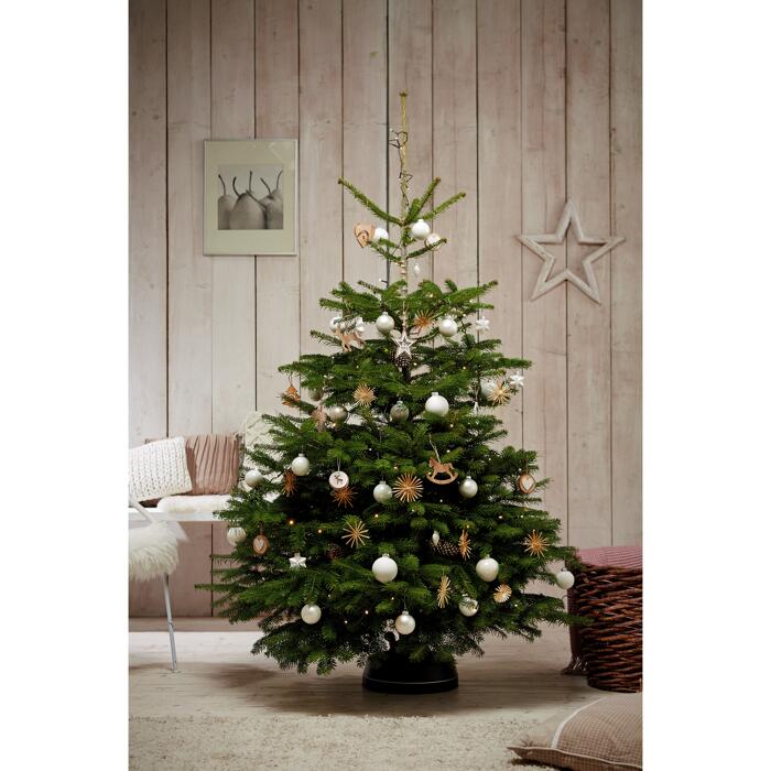 toom Fair Trees® Weihnachtsbaum Nordmanntanne gesägt 130150 cm