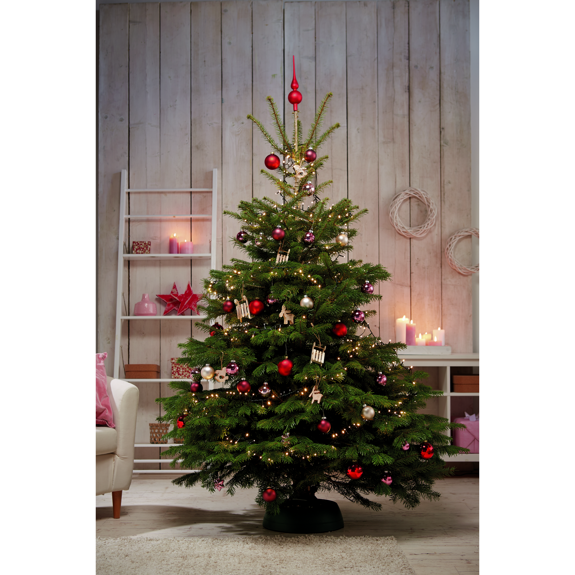 Fair Trees® Weihnachtsbaum Nordmanntanne gesägt 130-150 cm + product picture