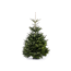 Verkleinertes Bild von Fair Trees® Weihnachtsbaum Nordmanntanne gesägt 150-190 cm