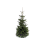 Verkleinertes Bild von Fair Trees® Weihnachtsbaum Nordmanntanne gesägt 500 cm