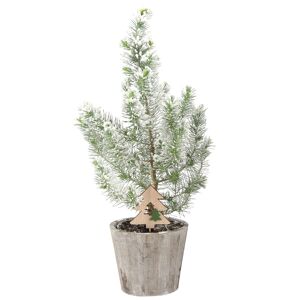 Mittelmeer-Kiefer 'Silver Crest' beschneit mit Weihnachtsbaumstecker im Holztopf Ø 12 cm
