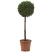 hauptbild